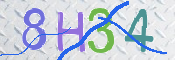 この文字を入力してください