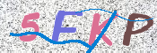 この文字を入力してください