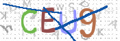 この文字を入力してください