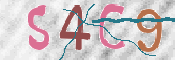 この文字を入力してください