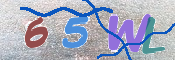 この文字を入力してください