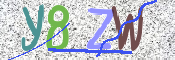 この文字を入力してください