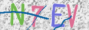 この文字を入力してください