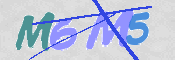 この文字を入力してください