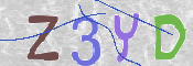 この文字を入力してください