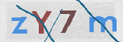 この文字を入力してください