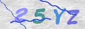 この文字を入力してください