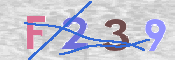 この文字を入力してください