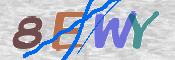 この文字を入力してください