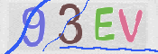この文字を入力してください