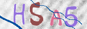 この文字を入力してください