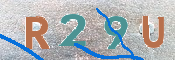 この文字を入力してください