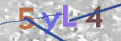 この文字を入力してください