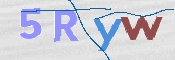 この文字を入力してください