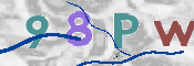 この文字を入力してください