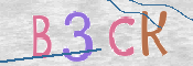この文字を入力してください