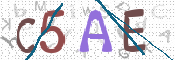 この文字を入力してください