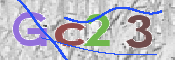 この文字を入力してください