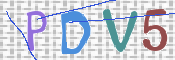この文字を入力してください