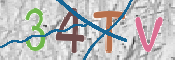 この文字を入力してください