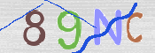 この文字を入力してください