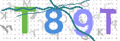 この文字を入力してください