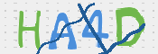 この文字を入力してください