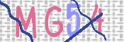 この文字を入力してください
