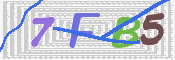 この文字を入力してください