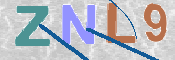 この文字を入力してください