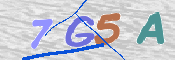 この文字を入力してください