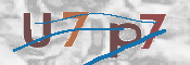 この文字を入力してください
