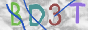 この文字を入力してください
