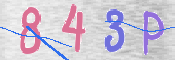 この文字を入力してください