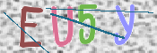 この文字を入力してください