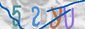 この文字を入力してください