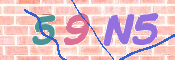 この文字を入力してください