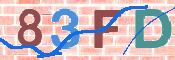 この文字を入力してください
