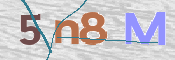 この文字を入力してください
