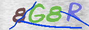 この文字を入力してください