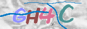 この文字を入力してください