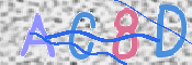 この文字を入力してください