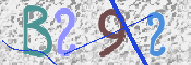 この文字を入力してください
