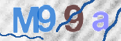 この文字を入力してください