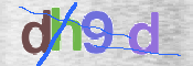 この文字を入力してください