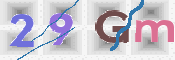 この文字を入力してください