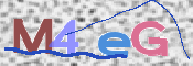 この文字を入力してください