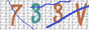 この文字を入力してください