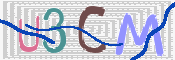 この文字を入力してください
