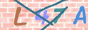 この文字を入力してください